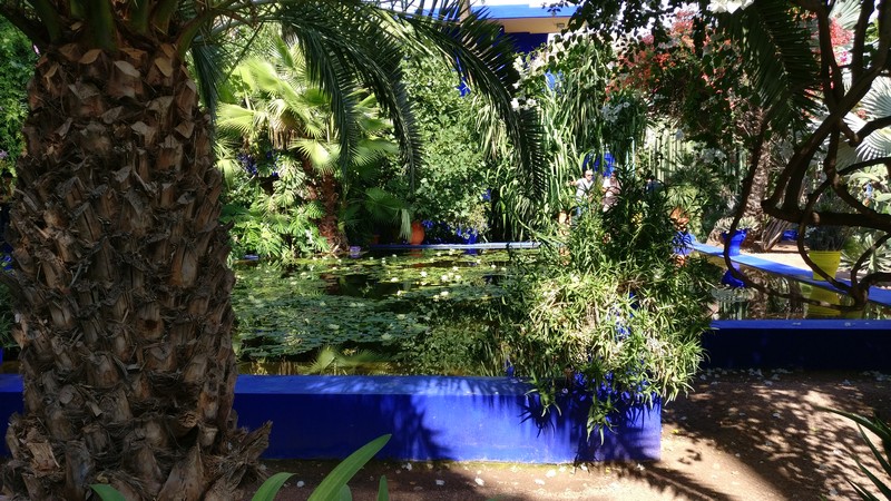 Jardin Majorelle feiert sein 100-jähriges Bestehen, Foto: marokko.com